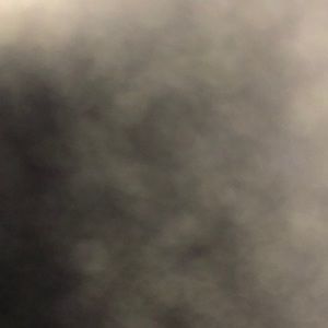 Meet your Posher, Karley